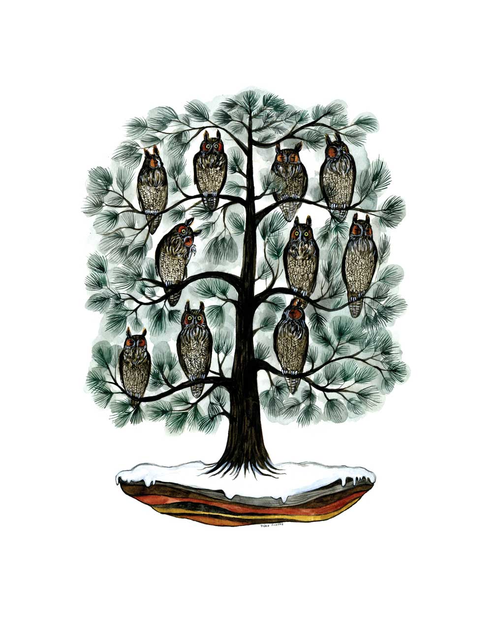 Long-earred Owls in White Pine, by Diana Sudyka thumbnail 2