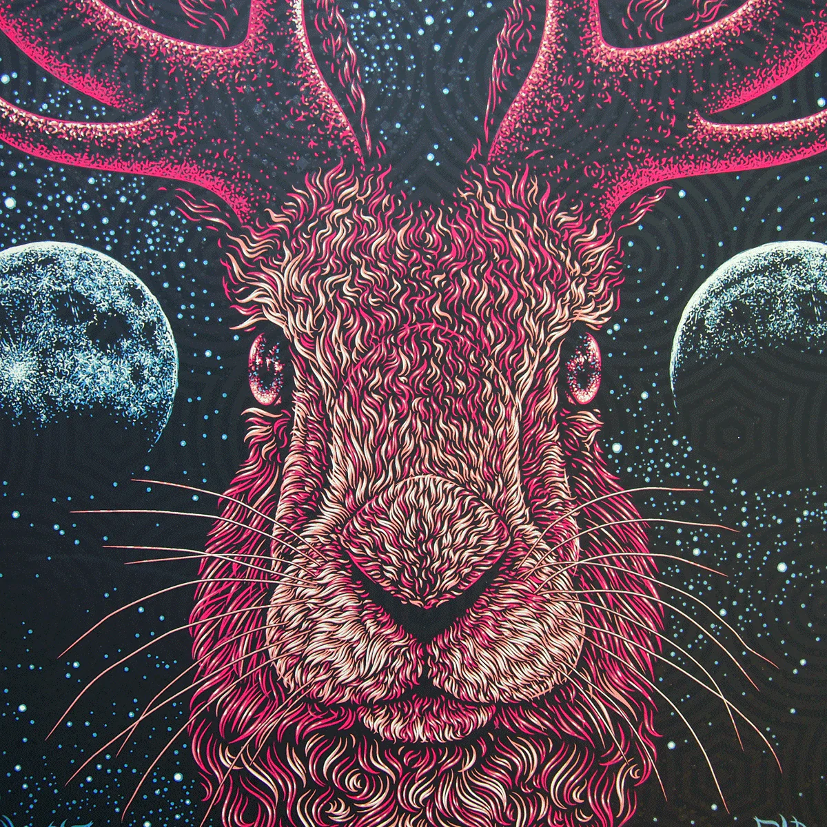 Avett Brothers - Jackalope, by Todd Slater thumbnail 3
