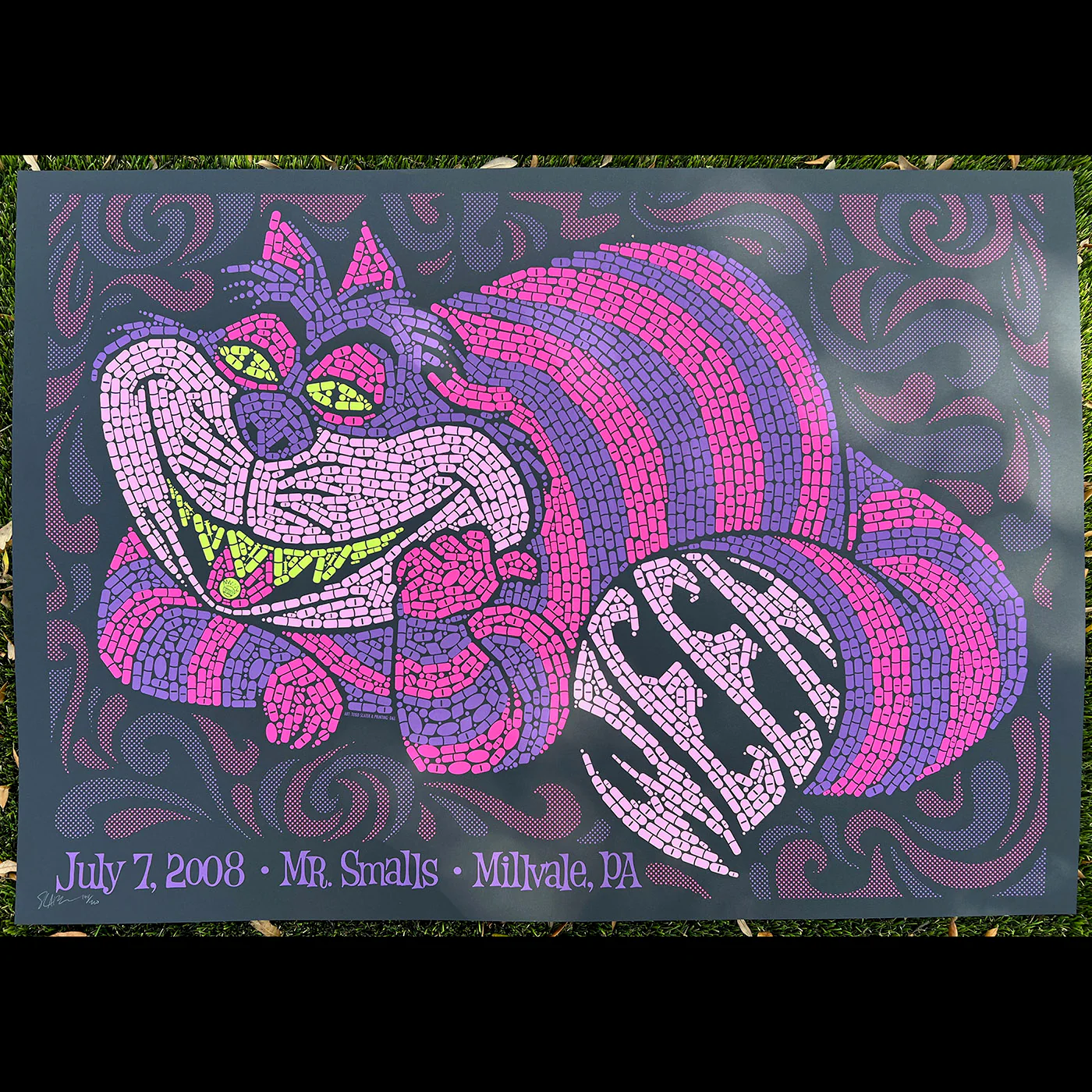 Ween - Cheshire, by Todd Slater