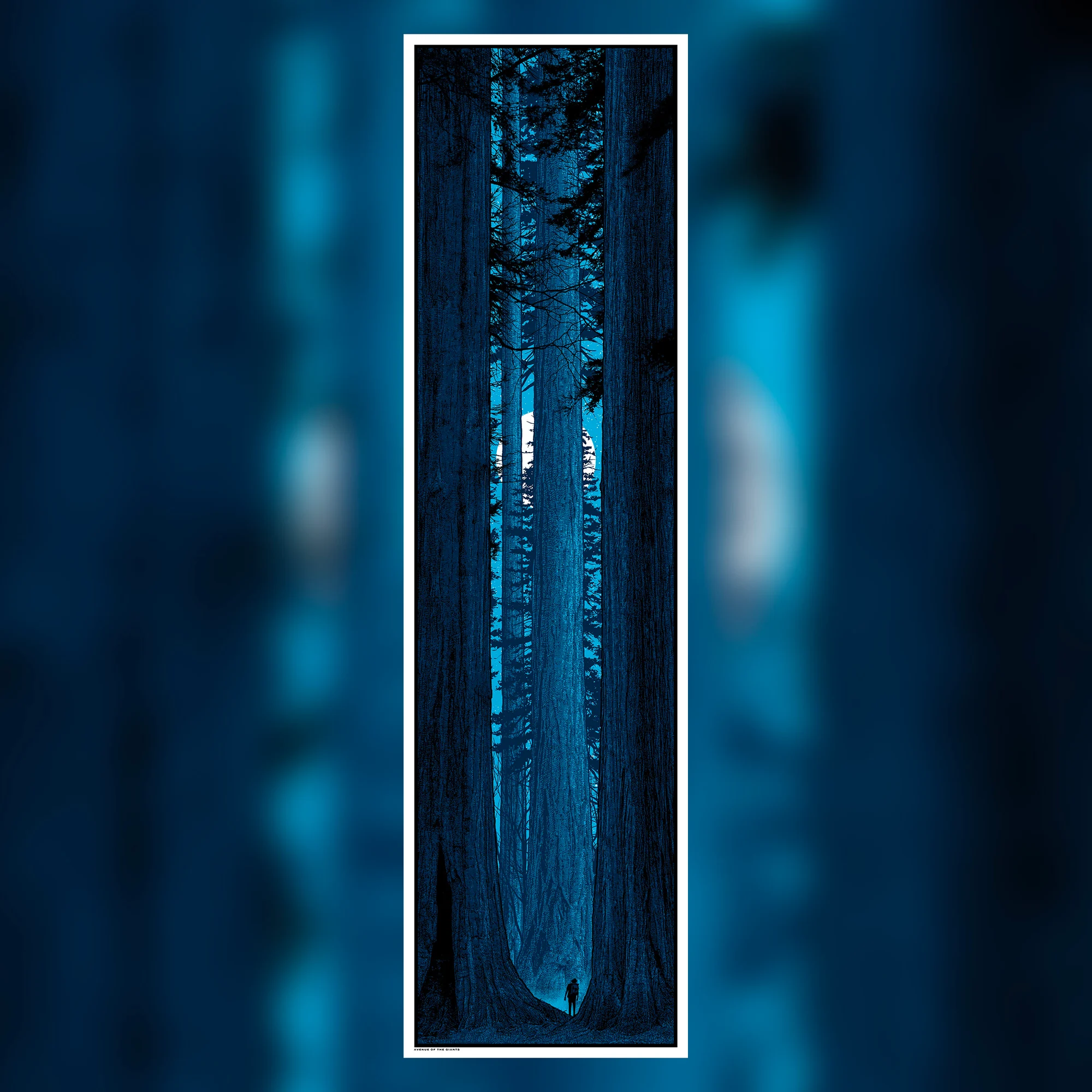 Avenue of the Giants ~ Night, by Dan McCarthy thumbnail 2