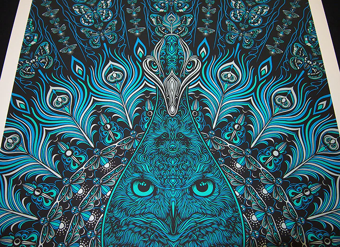 The Avett Brothers peacock owl, by Todd Slater thumbnail 3