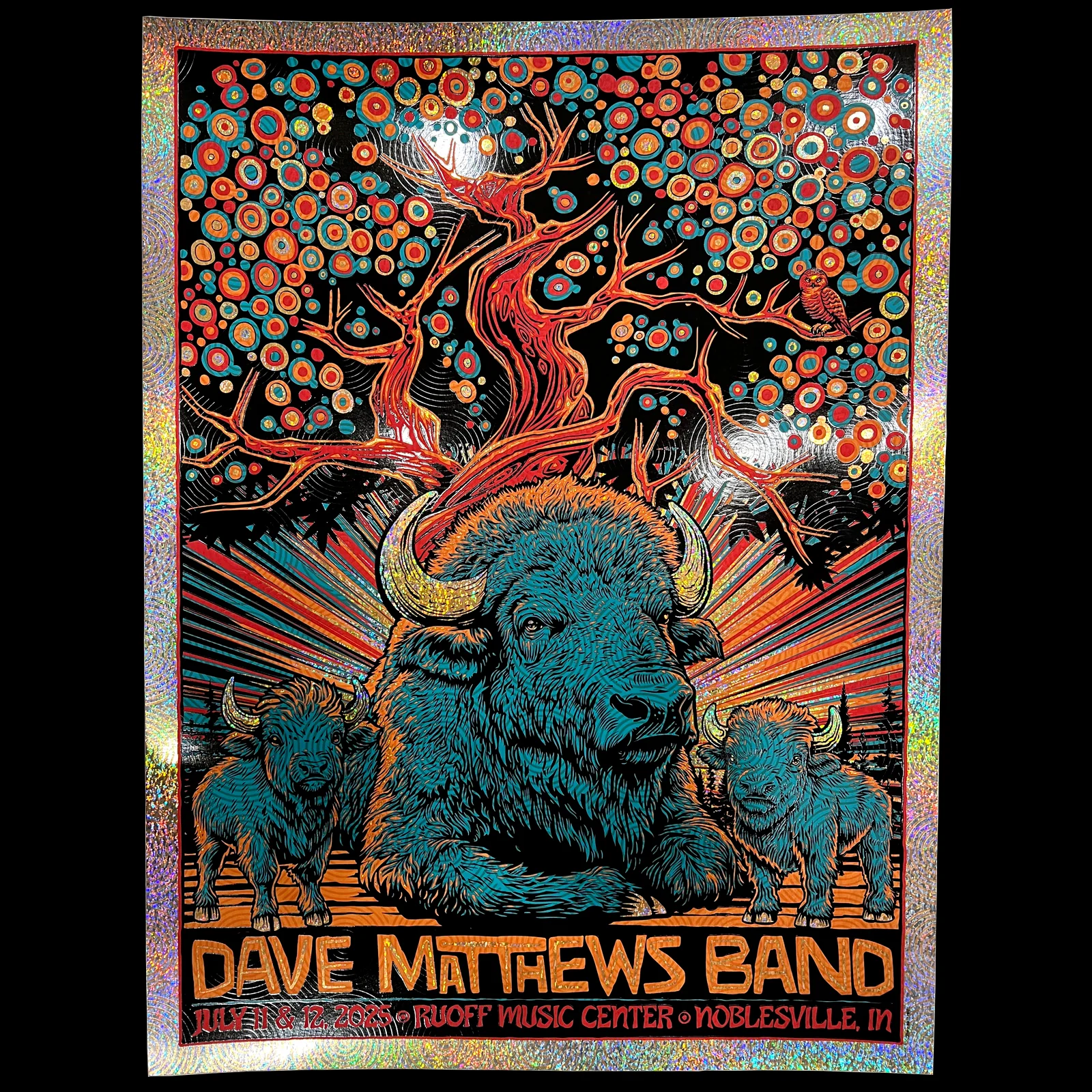Dave Matthews Band - Dreaming Tree, by Todd Slater thumbnail 2