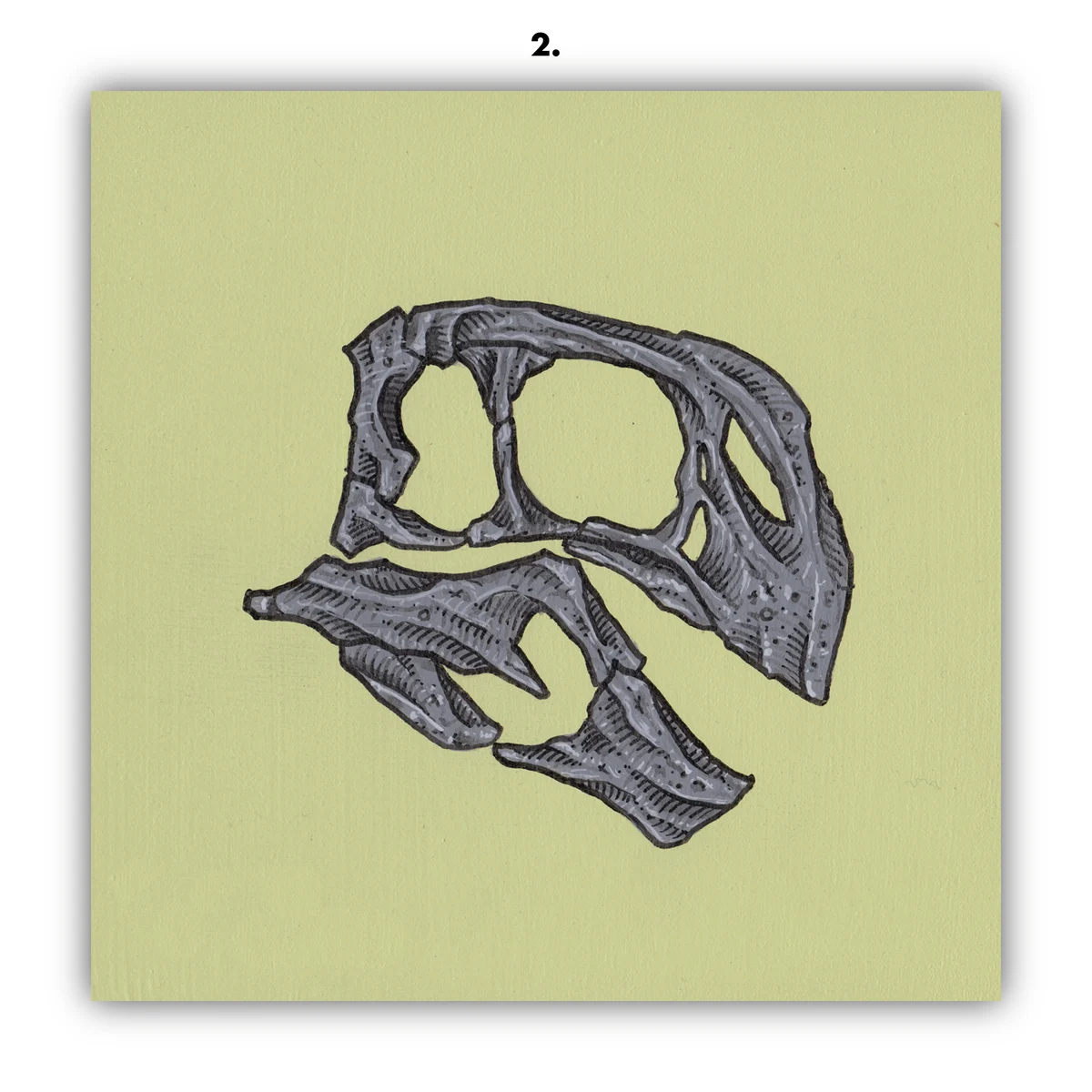Dinosaur Skulls, by Dan McCarthy thumbnail 3