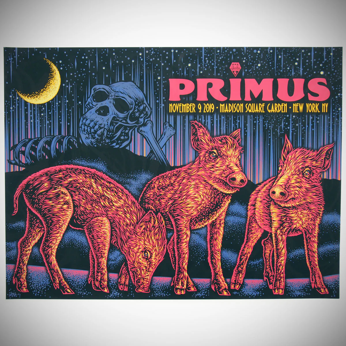 Primus - MSG, by Todd Slater