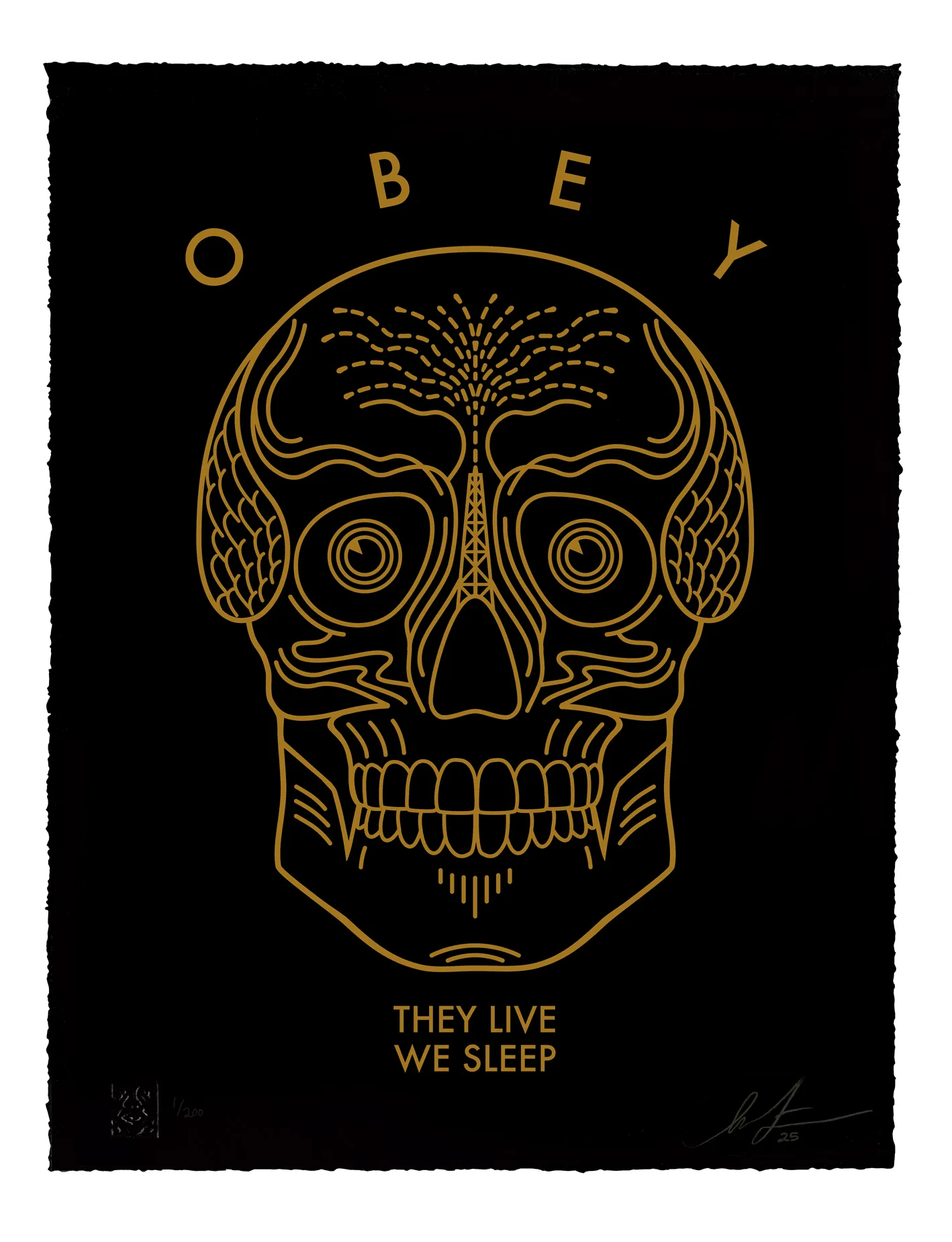 They Live We Sleep (black), by Shepard Fairey, 2025