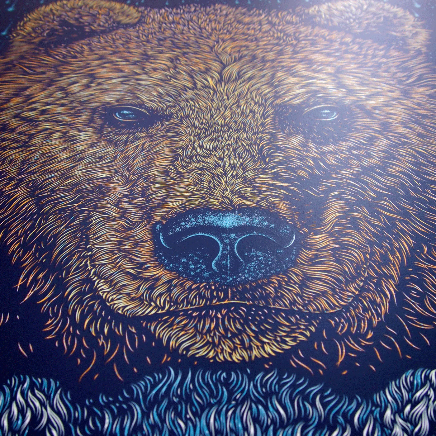 Widespread Panic - San Diego, by Todd Slater thumbnail 2