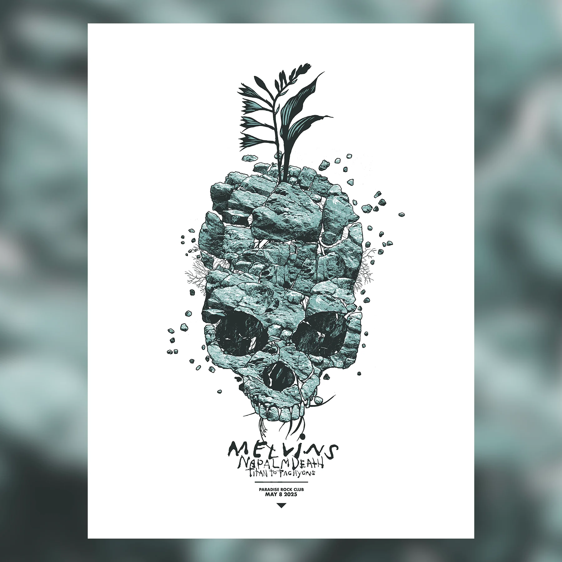 Melvins/Napalm Death/Boston, by Dan McCarthy, 2025 thumbnail 2
