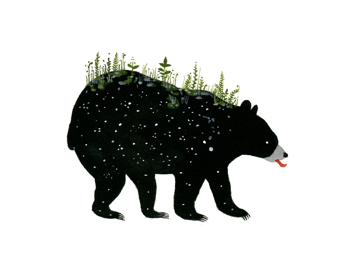 Spring Bear, by Diana Sudyka thumbnail 2