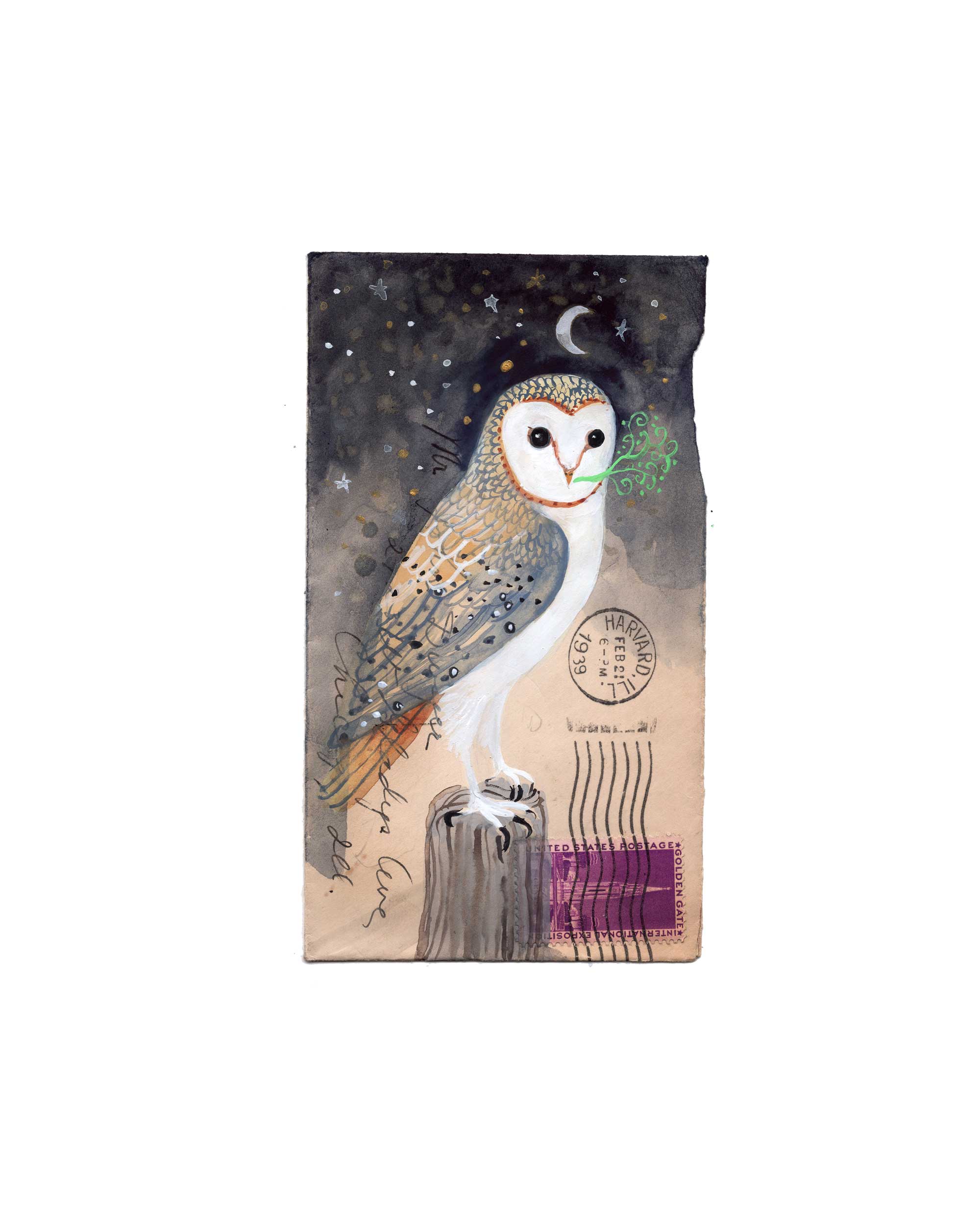 Barn Owl, by Diana Sudyka thumbnail 2