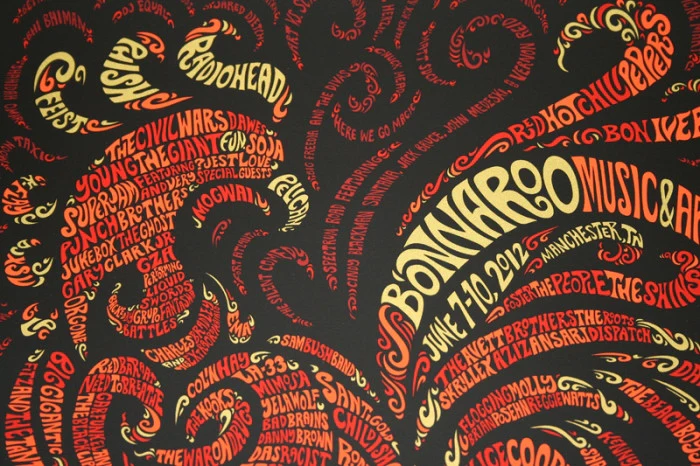 Bonnaroo Festival 2, by Todd Slater thumbnail 2
