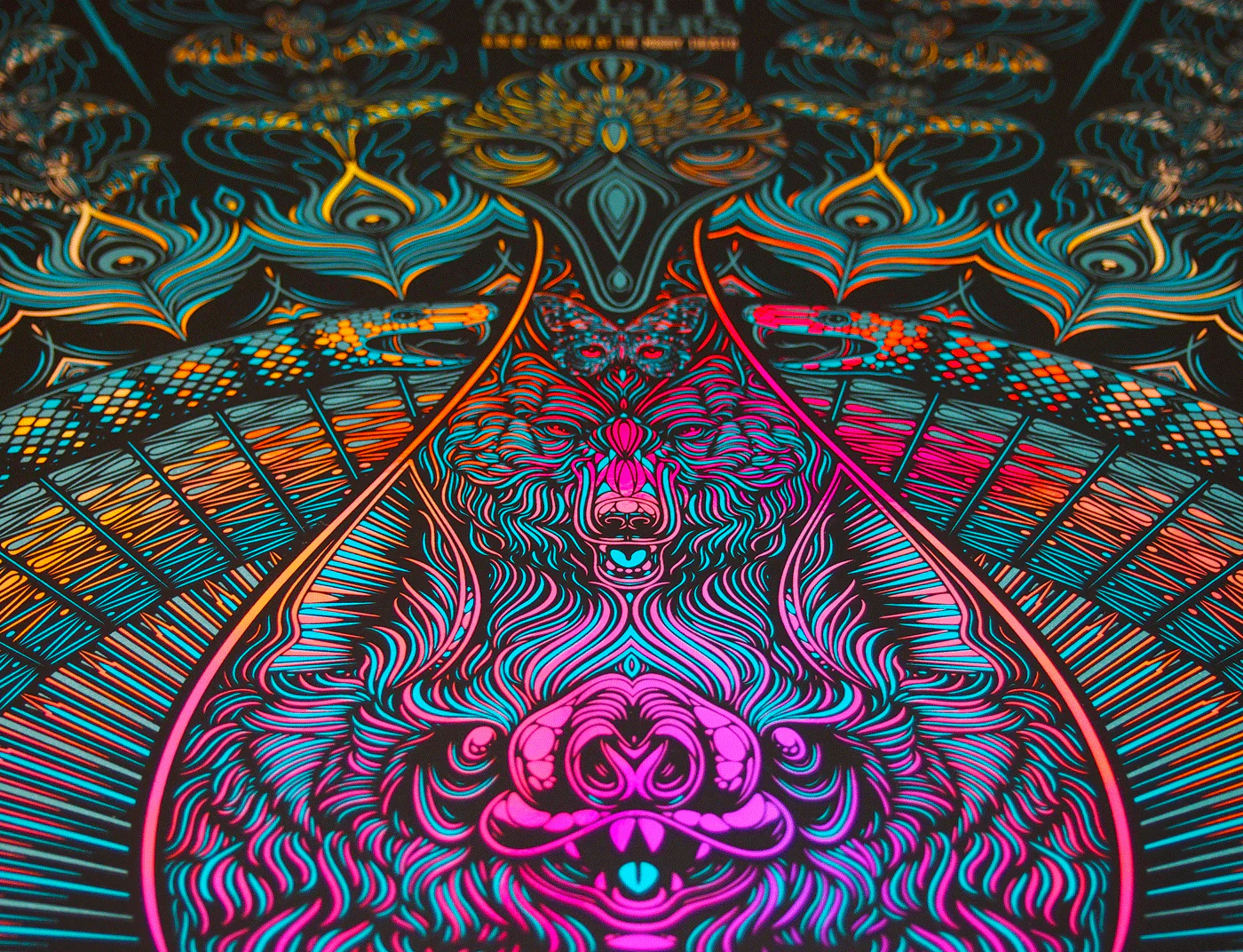Avett Brothers - ATX, by Todd Slater thumbnail 3