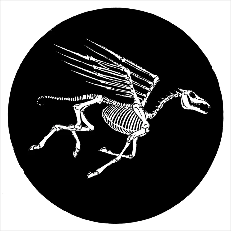 Pegasus, by Skullphone, 2021