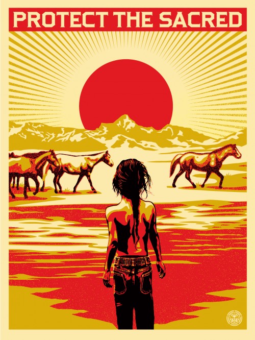 Protect The Sacred, by Shepard Fairey, Aaron Huey, 2014