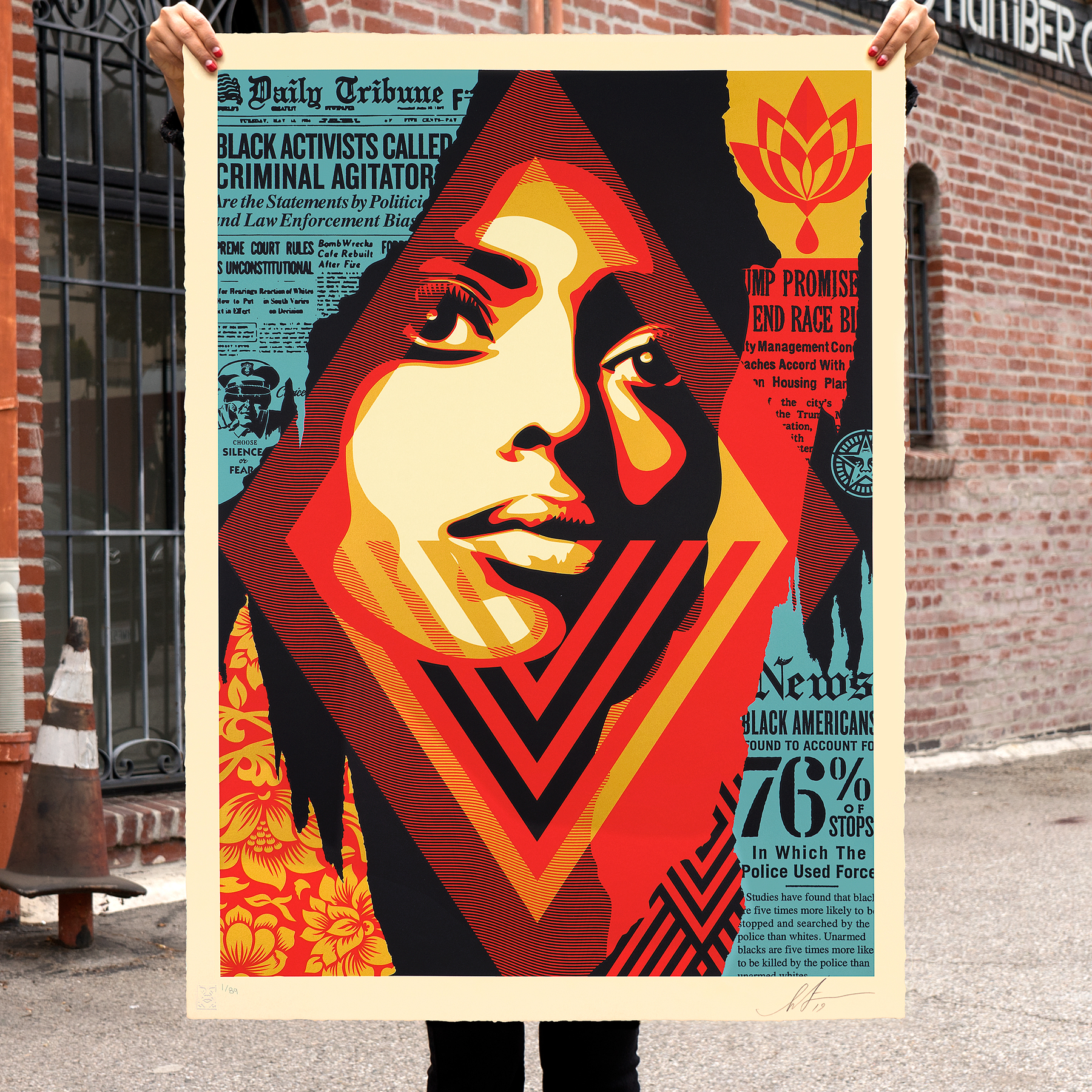 Bias By Numbers, by Shepard Fairey, 2017
