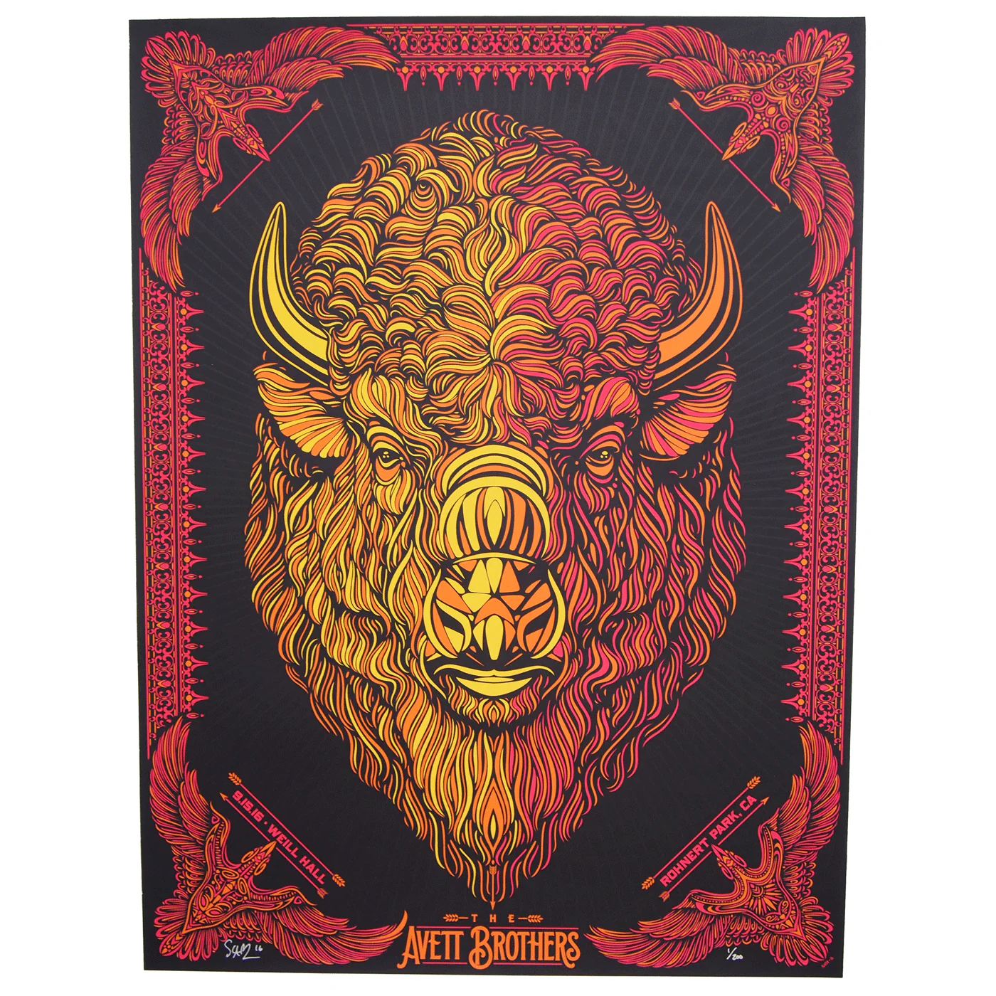Avett Brothers - buffalo, by Todd Slater thumbnail 2