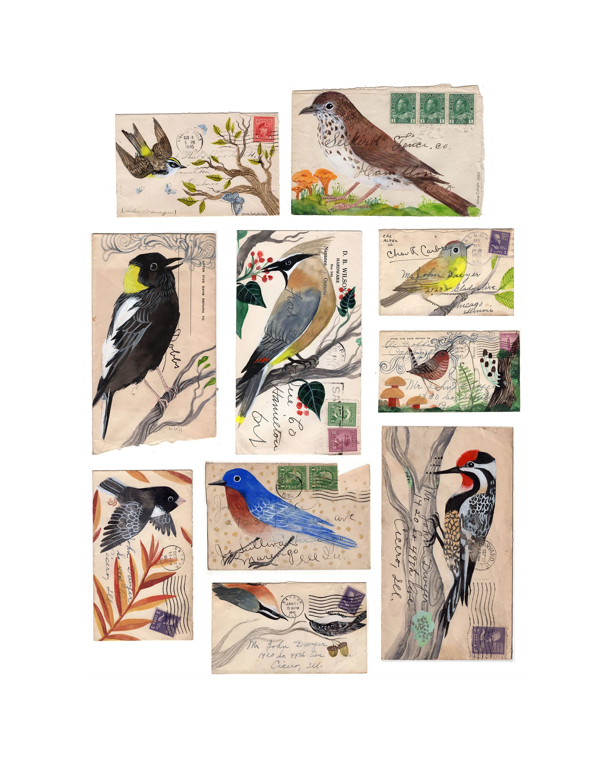 Just Song Birds, by Diana Sudyka thumbnail 2