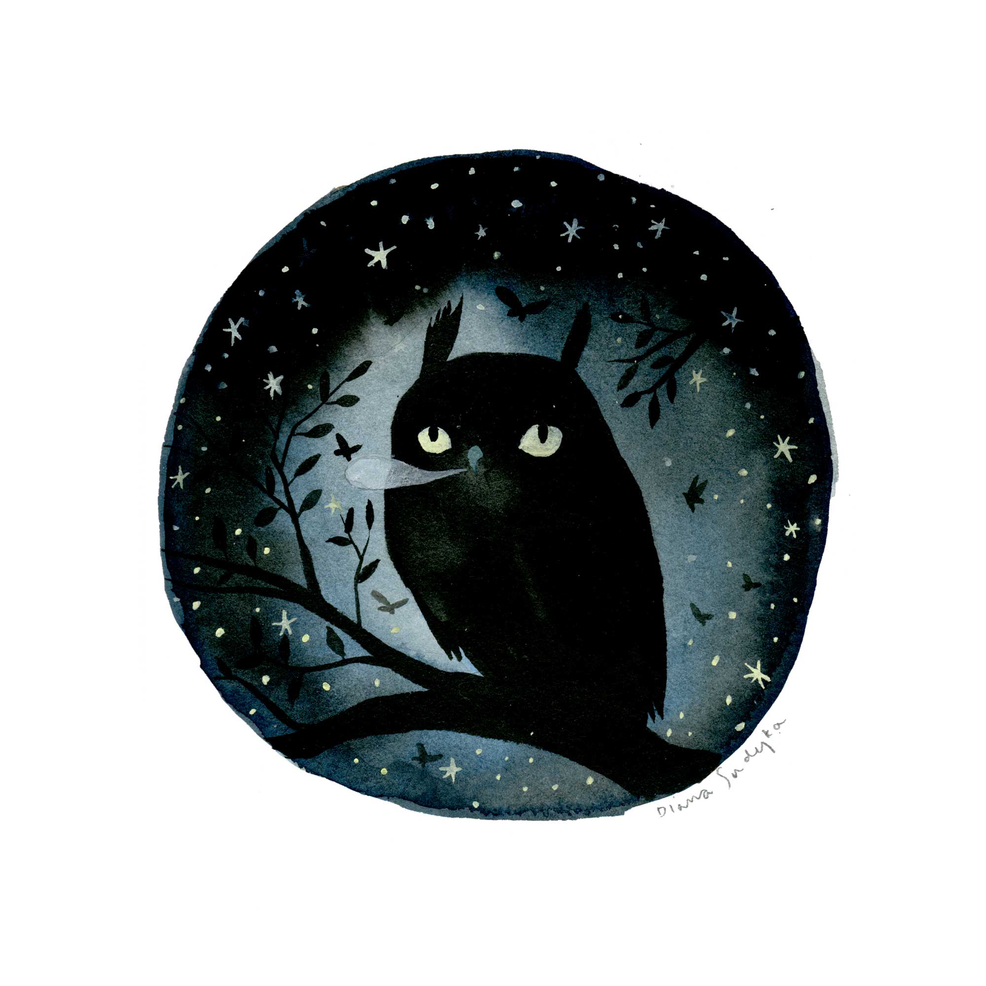 Night Owl, by Diana Sudyka thumbnail 2