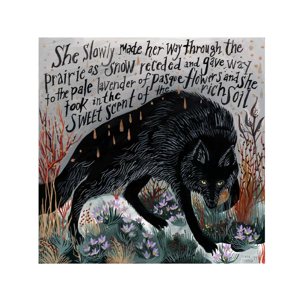 Black Wolf and Pasque Flowers, by Diana Sudyka thumbnail 2