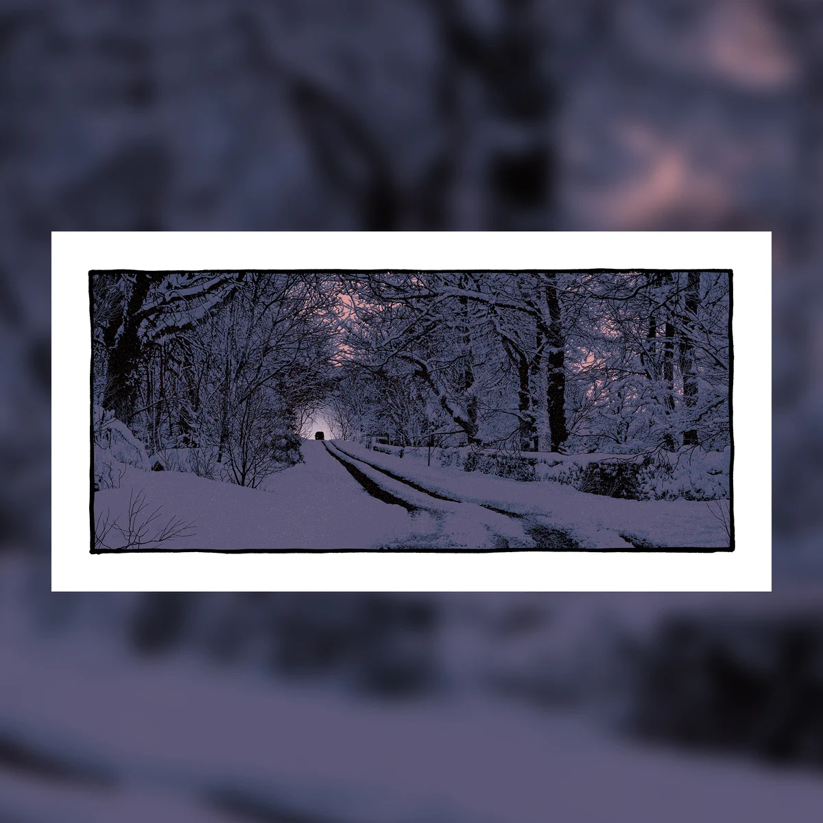 Take Me Home - Pink Edition, by Dan McCarthy
