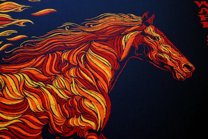 Edward Sharpe & the Magnetic Zeros, by Todd Slater thumbnail 2
