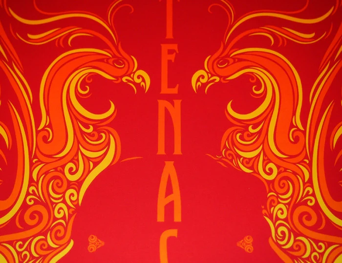 Tenacious D - 2, by Todd Slater thumbnail 2