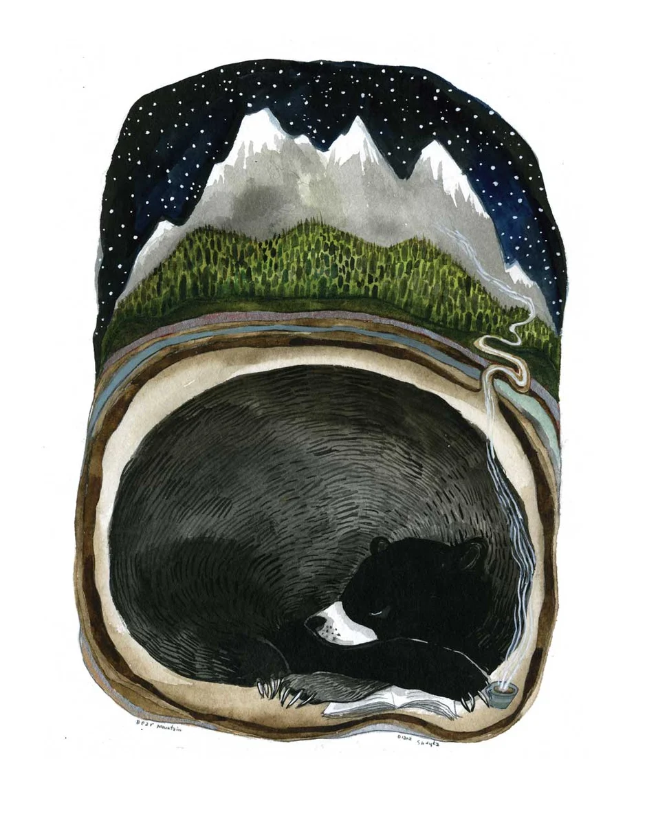 Bear Mountain, by Diana Sudyka