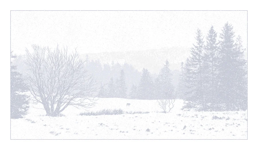 2 available! - The Call of the Wild, by Dan McCarthy thumbnail 2