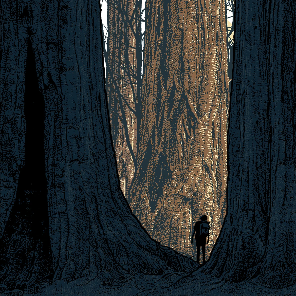Avenue of the Giants - Wood Panel, by Dan McCarthy thumbnail 2