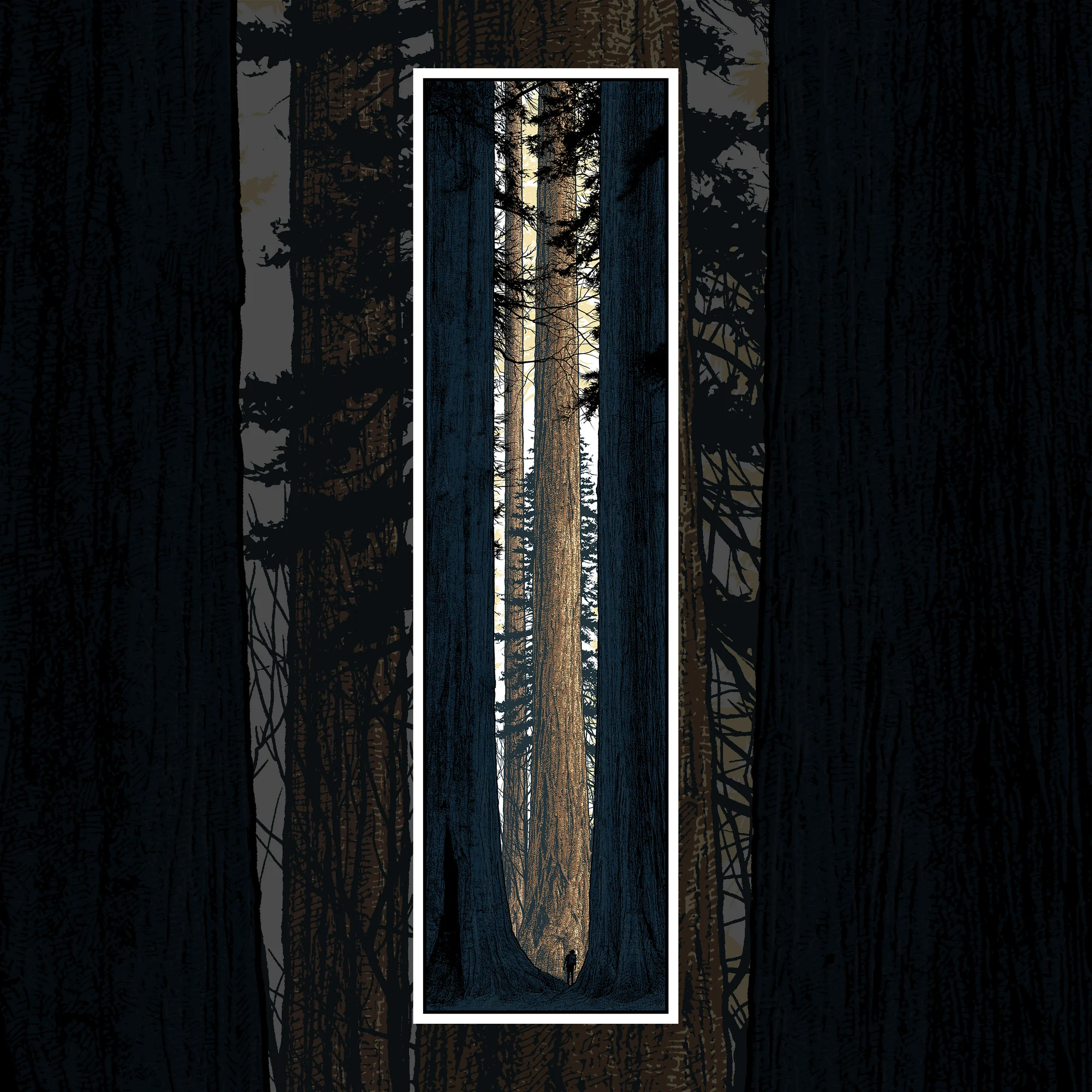 Avenue of the Giants, by Dan McCarthy thumbnail 3