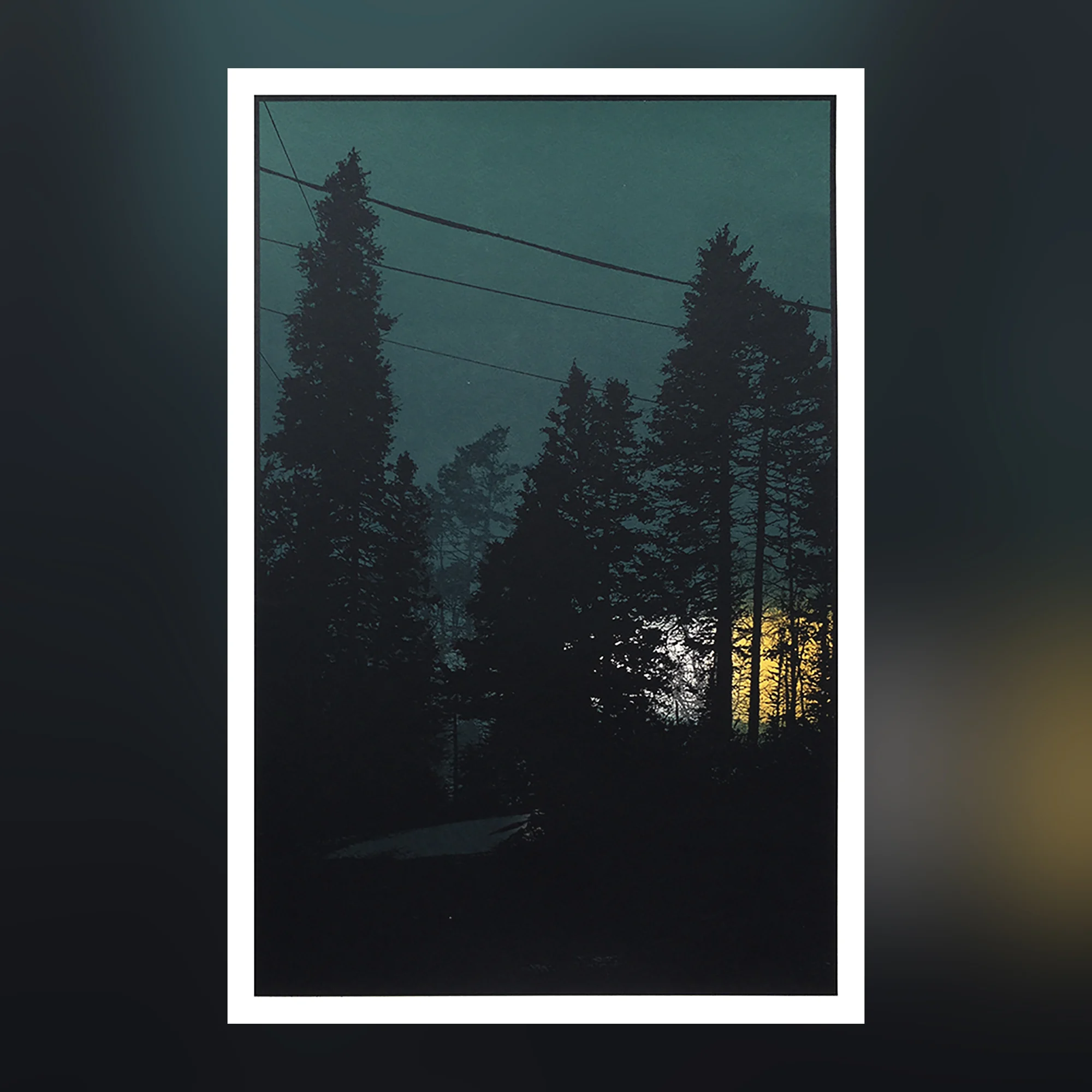 10 copies available The Light is a Threat, by Dan McCarthy thumbnail 2
