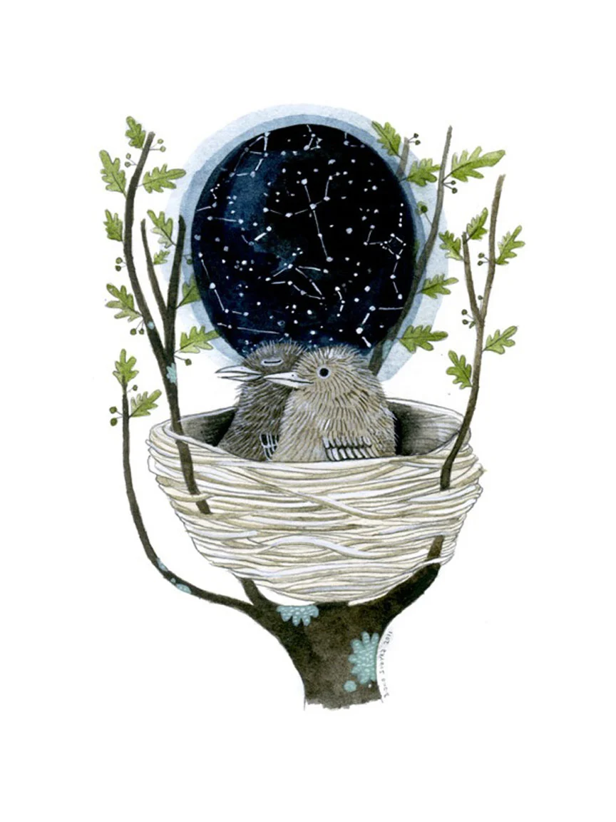 Star Map, by Diana Sudyka
