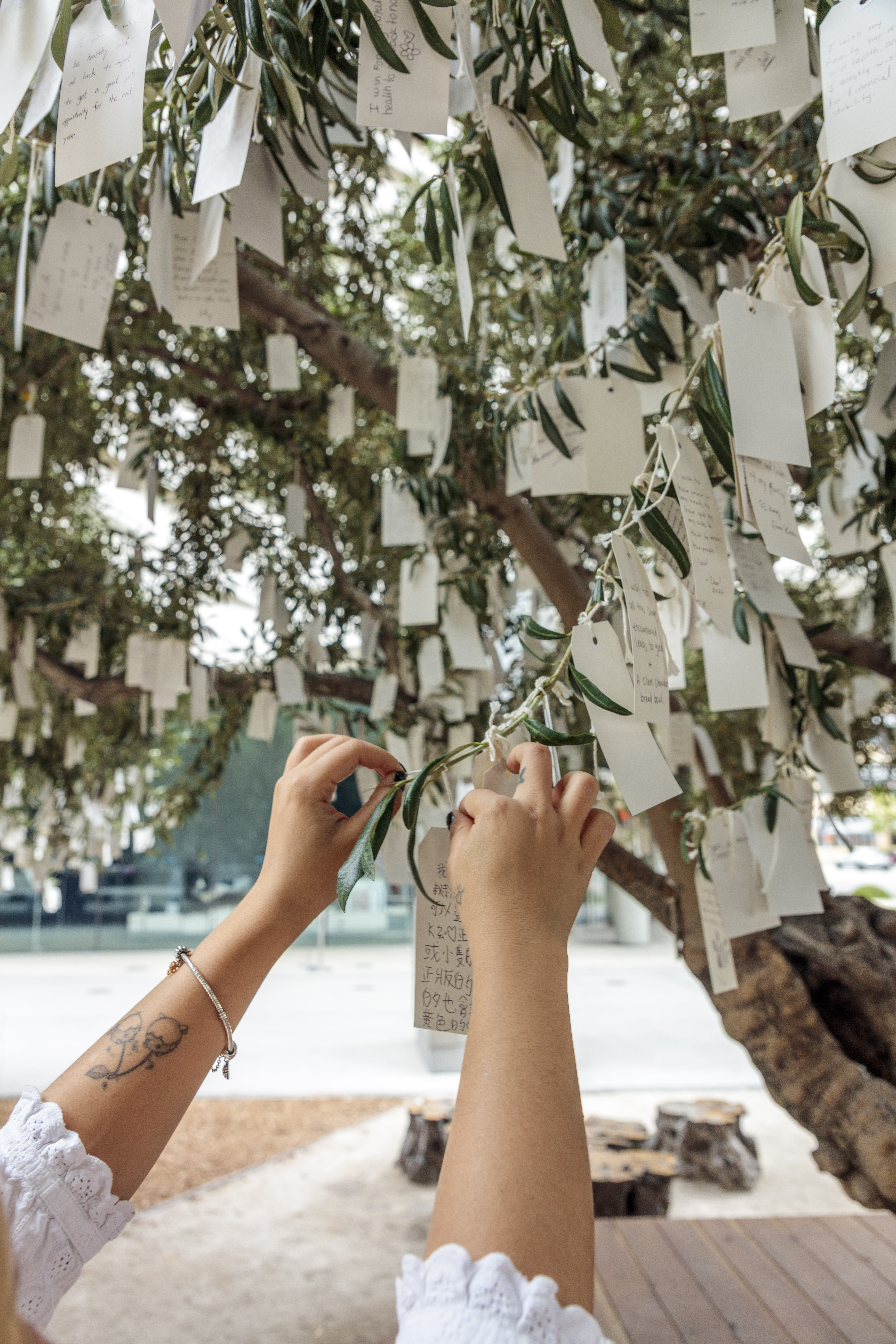 Hands placing a wish onto Yoko Ono's Wish Tree for Los Angeles