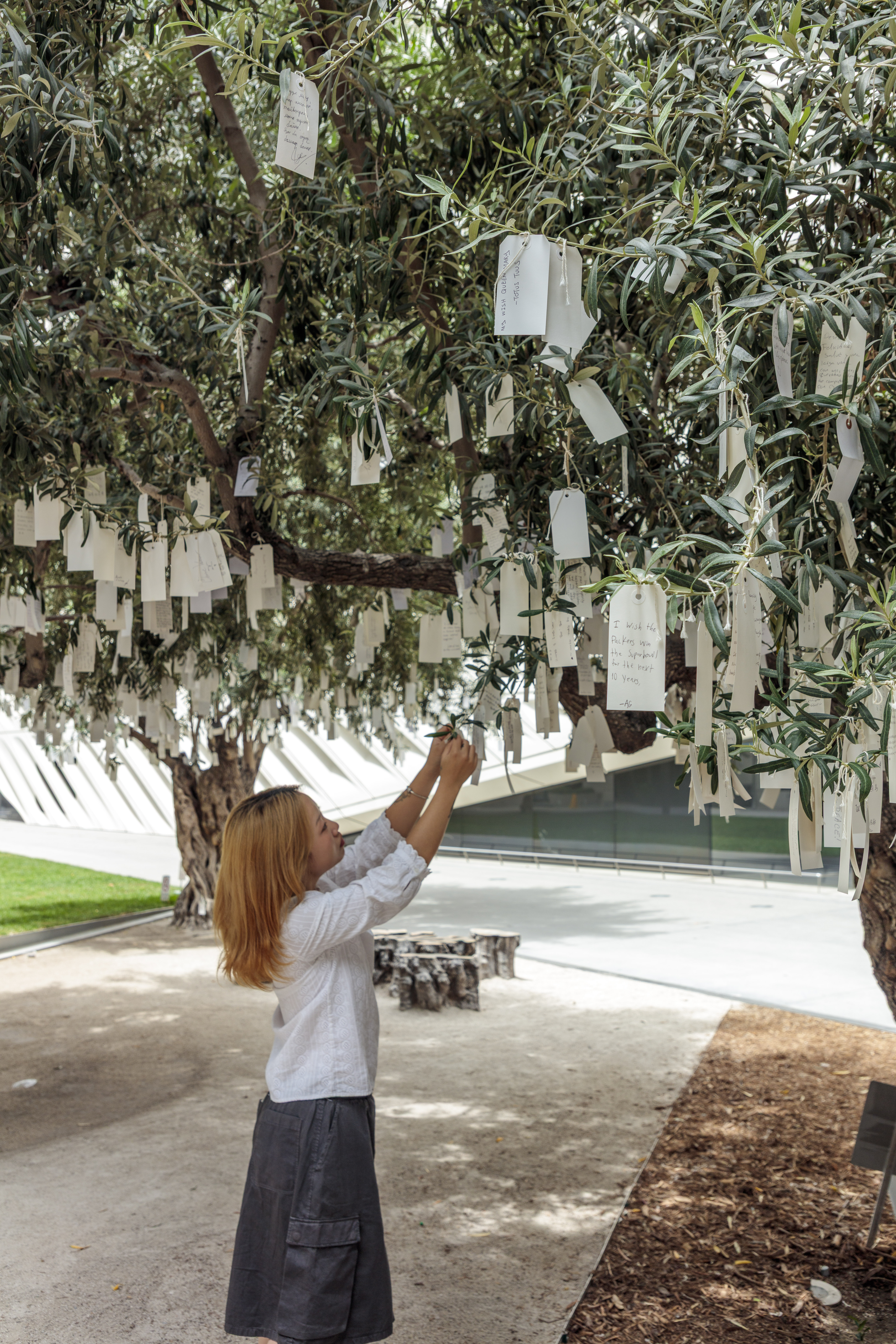 A visitor tying a wish onto Yoko Ono's Wish Tree for Los Angeles