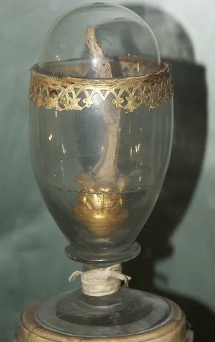 Galileo Galilei’s preserved middle finger standing upright inside a glass and gilt reliquary