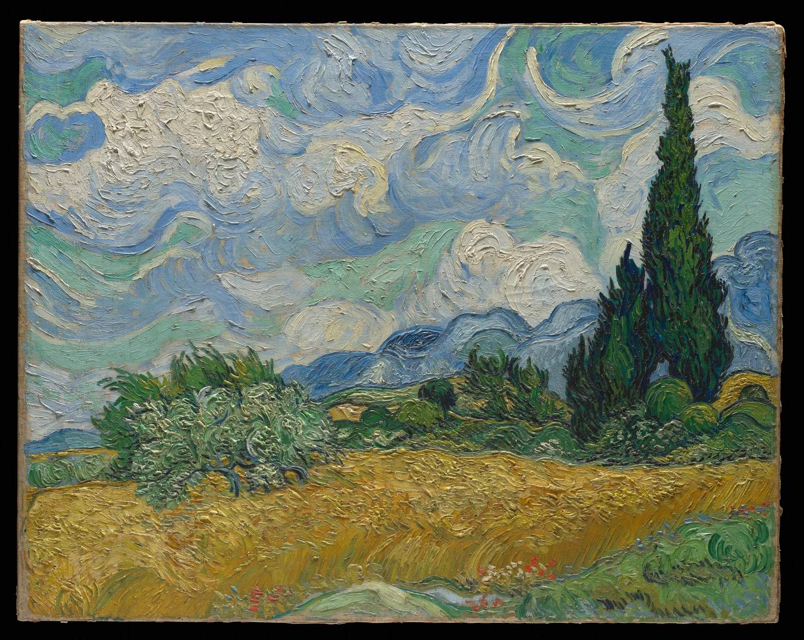 Golden wheat, green shrubs and a tall dark cypress beneath rolling blue mountains and thick white clouds.