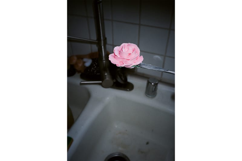 A small pink flower balanced on the blade of a kitchen knife above a sink