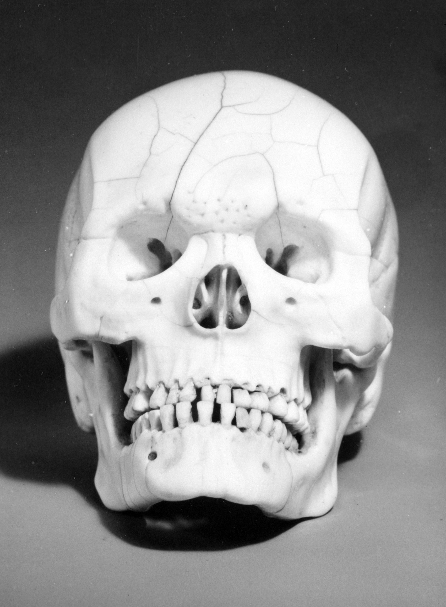Frontal view of a miniature ivory skull, with carved teeth and dark eye sockets.